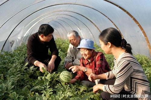 92吃瓜,揭秘娱乐圈那些不为人知的幕后故事