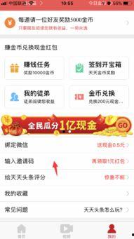 头条下载哪里填邀请码,轻松开启专属特权之旅