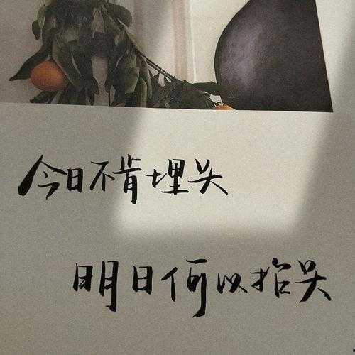 称赞网红的文案句子,点赞新时代的璀璨之星