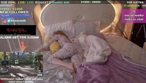 网红直播睡觉走光图,一场“睡美人”的尴尬直播秀