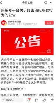 今日头条行权,揭秘内容创作者权益保障新篇章