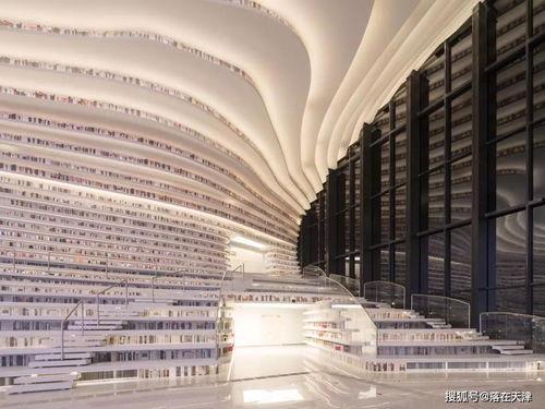 河南新乡网红图书馆在哪,河南文化新地标之旅”