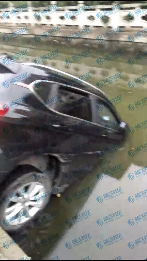 房顶吃瓜,夏日里的悠闲时光