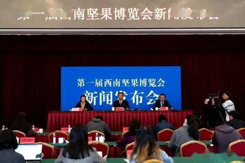 禄劝县南塘新闻头条,揭秘南塘新区发展新动态