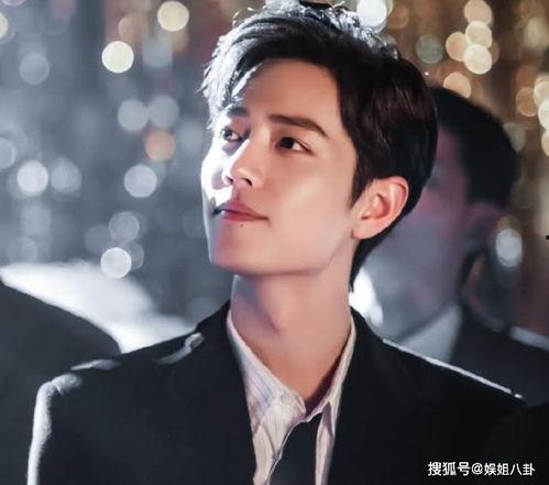 蓝某明星,闪耀舞台，魅力无限