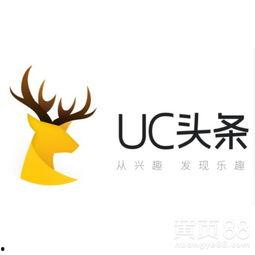 uc头条上海代理商,助力本地化营销新篇章