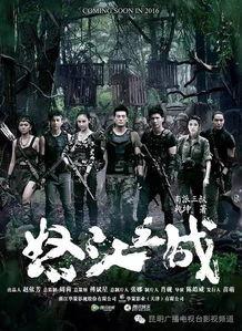 怒江之战在线观看,揭秘二战滇西战场惊心动魄的生死较量