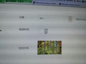 头条发视频怎么填标签啊,提升视频曝光率？????