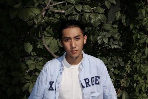 明星刘迅,闪耀荧屏的璀璨星辉