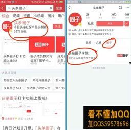 头条新媒体打卡在哪里,一键生成，轻松打卡，你的专属新媒体生活！”
