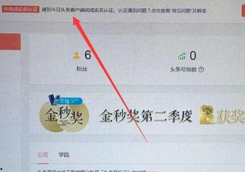 未认证头条号,隐藏在光鲜背后的真相