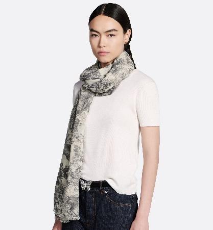 迪奥披肩网红,时尚潮流新宠儿的魅力演绎