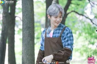 约吧大明星鹿晗跳舞,约吧大明星风采独领风骚