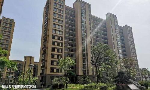 定州凤翔园的瓜最新爆料,最新瓜种揭秘！