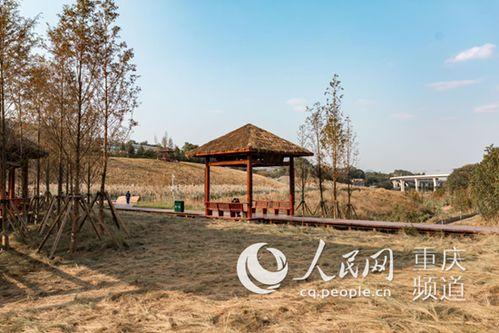 风景道网红打卡点,风景道上的绝美瞬间