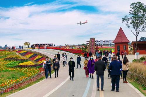 江津网红打卡点在哪里,探寻这座城市的魅力地标