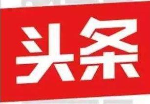 保定头条自媒体人聚会,共话行业未来与发展