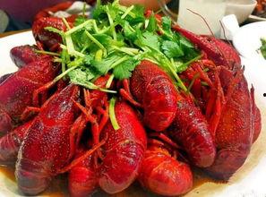 厦门网红小龙虾吃法,独特吃法解锁味蕾新体验