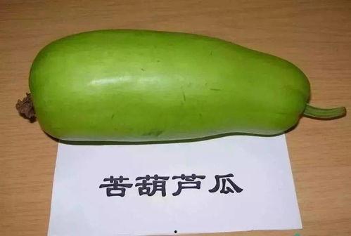 韶关敏阿敏吃瓜,瓜田里的欢乐时光