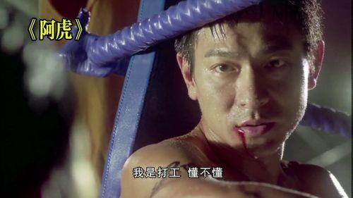 阿虎电影国语在线观看,重温经典，感受热血青春