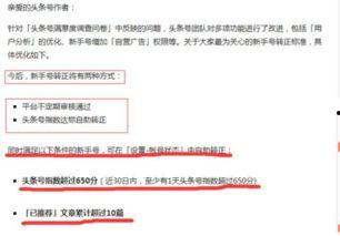 头条新人考核进度不变,持续关注最新进度