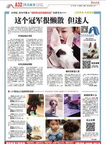 明星 宠物 栏目,见证爱与陪伴的瞬间