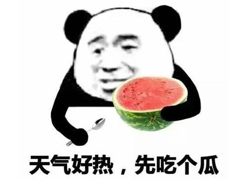吃瓜表情表示什么